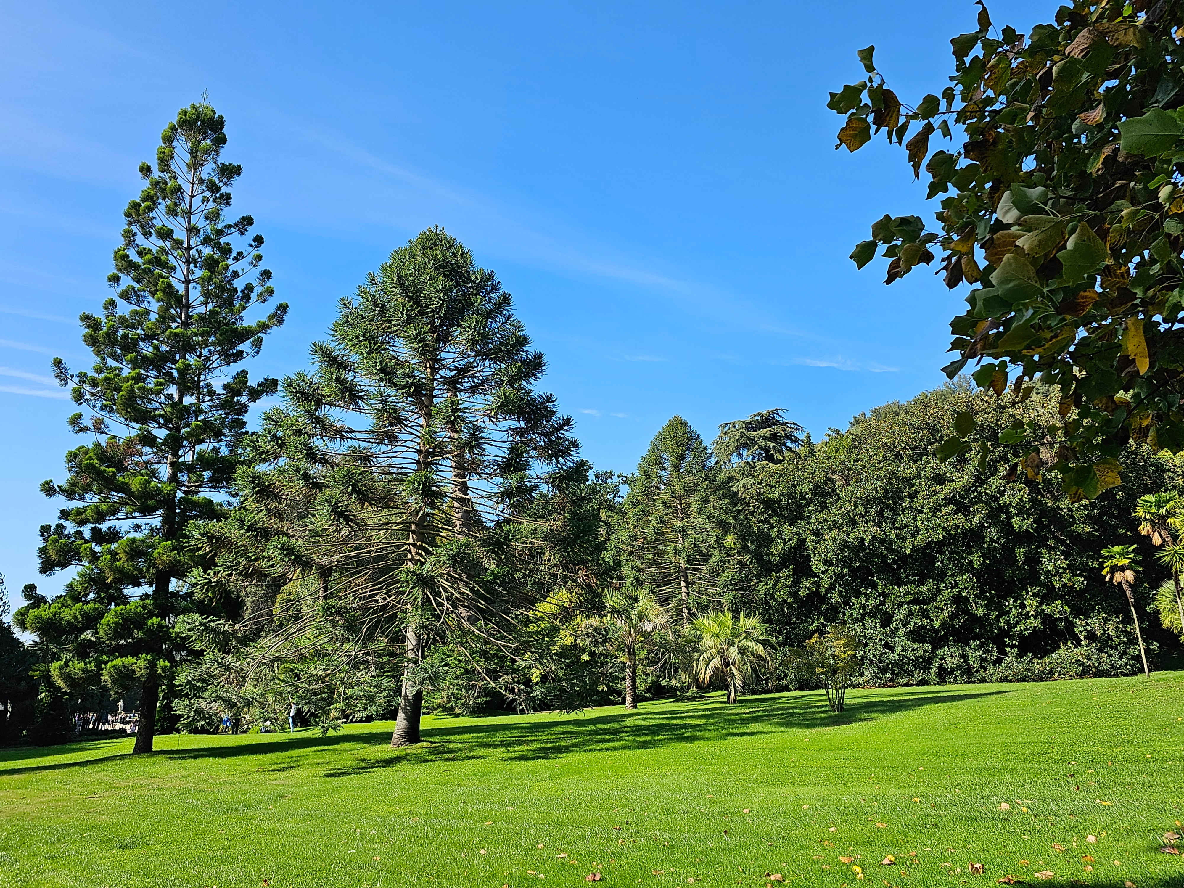 English Garden
